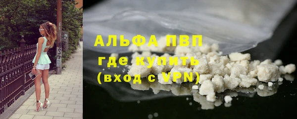 стаф Нея