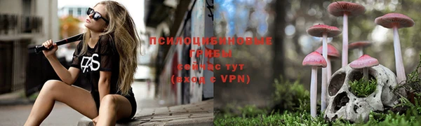 таблы Нефтегорск