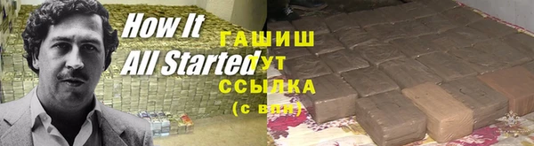 стаф Нея