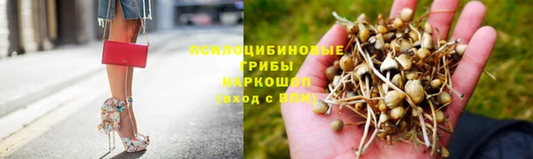 прущие грибы Наволоки