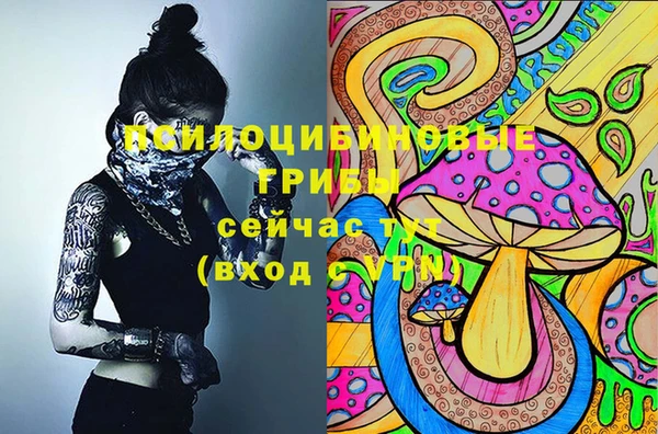 мескалин Нефтекумск