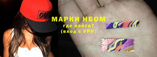 стаф Нея