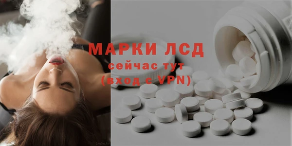 стаф Нея