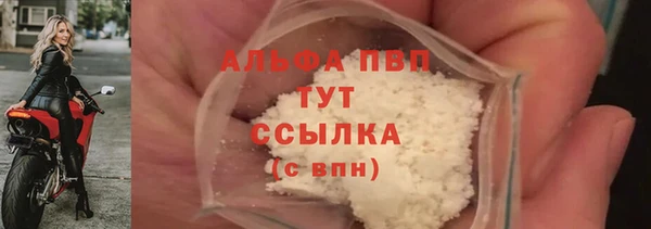 стаф Нея
