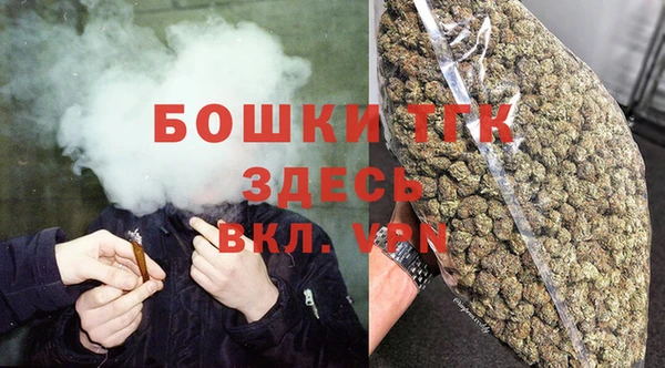 стаф Нея