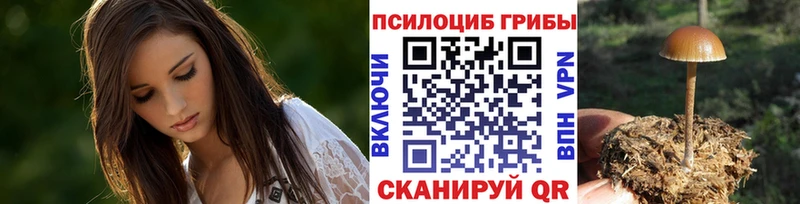 Псилоцибиновые грибы Psilocybine cubensis ОМГ ОМГ ТОР Новоржев